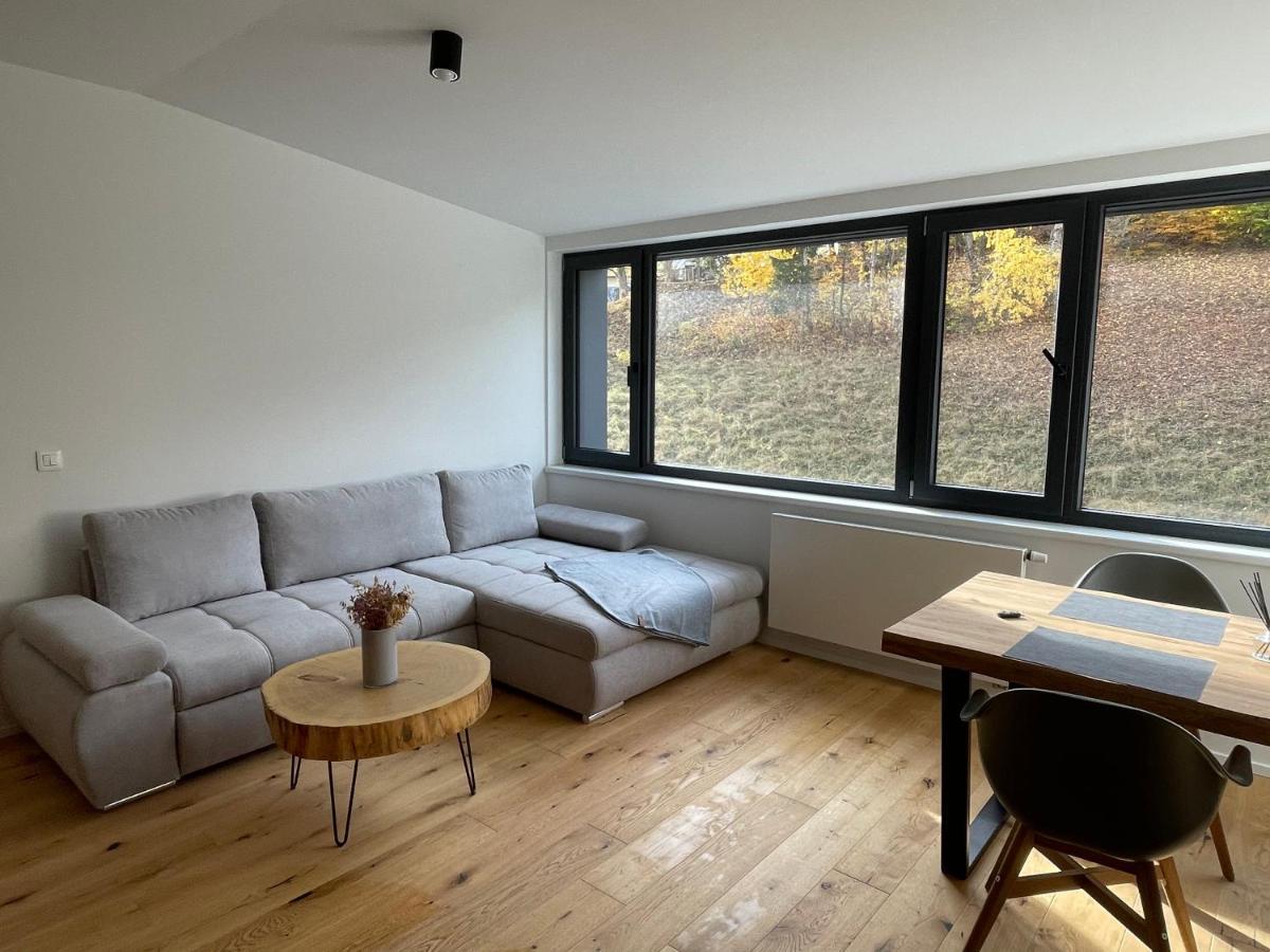 Ski&Bike Horsky Apartman 502 Janské Lázně Eksteriør bilde